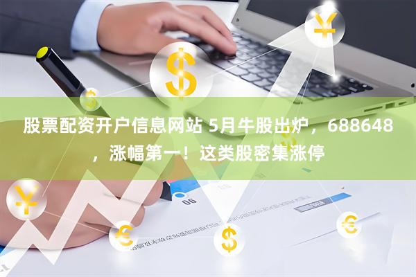 股票配资开户信息网站 5月牛股出炉，688648，涨幅第一！这类股密集涨停