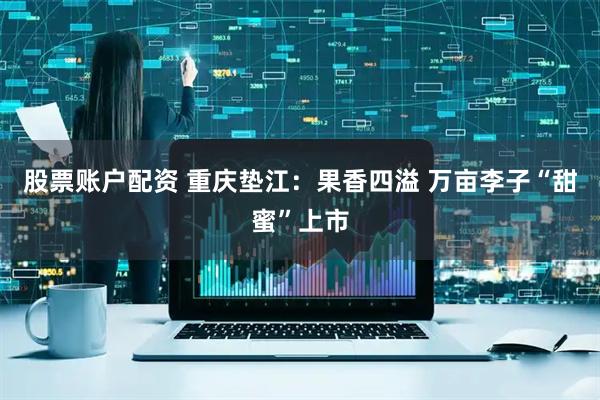 股票账户配资 重庆垫江：果香四溢 万亩李子“甜蜜”上市